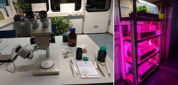 microscope important instrument laboratory. right we do germination tests under LED