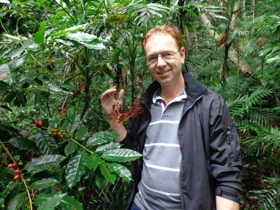 Inspecting the harvest of chamaedorea seeds in Mexico