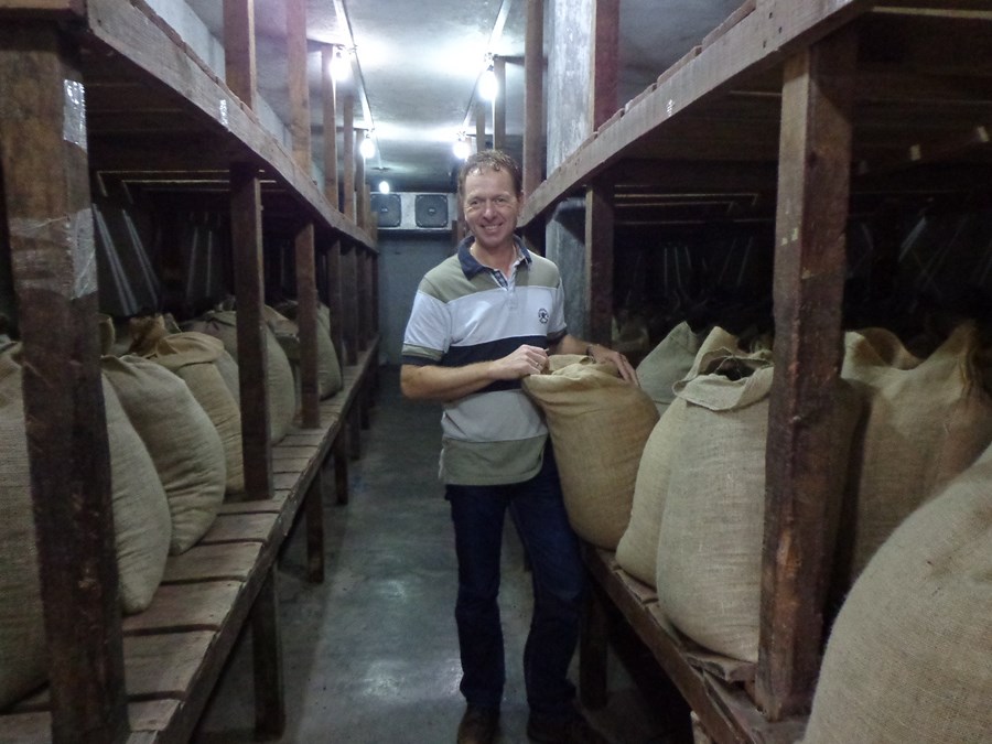 Inspecting the harvest of chamaedorea seeds in Mexico