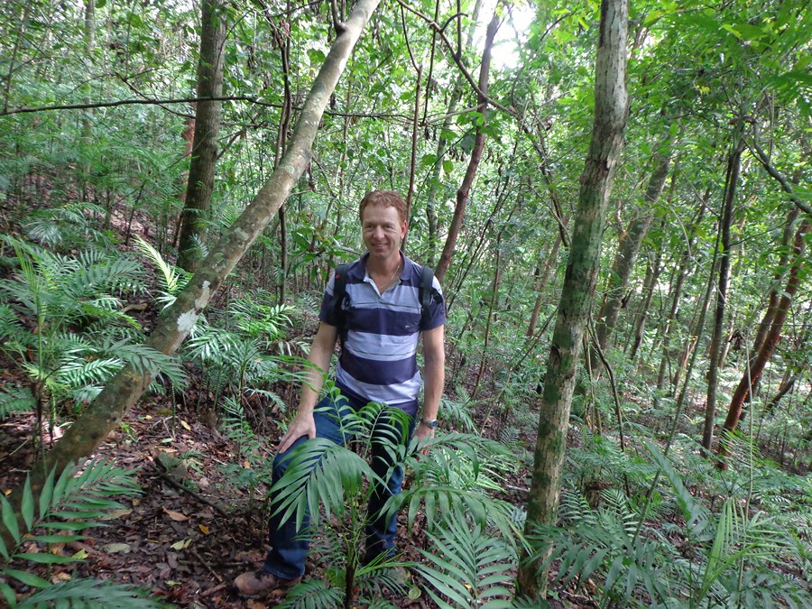 Inspection de la moisson des graines de Chamaedoera au Mexique